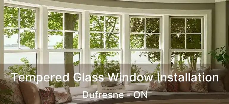  Tempered Glass Window Installation Dufresne - ON