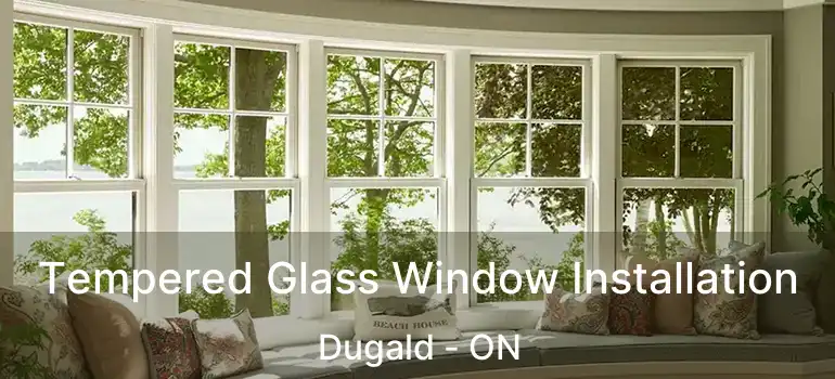  Tempered Glass Window Installation Dugald - ON