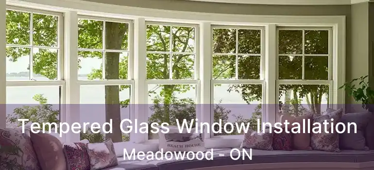  Tempered Glass Window Installation Meadowood - ON