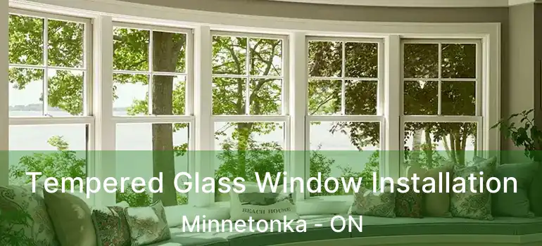  Tempered Glass Window Installation Minnetonka - ON