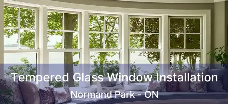  Tempered Glass Window Installation Normand Park - ON