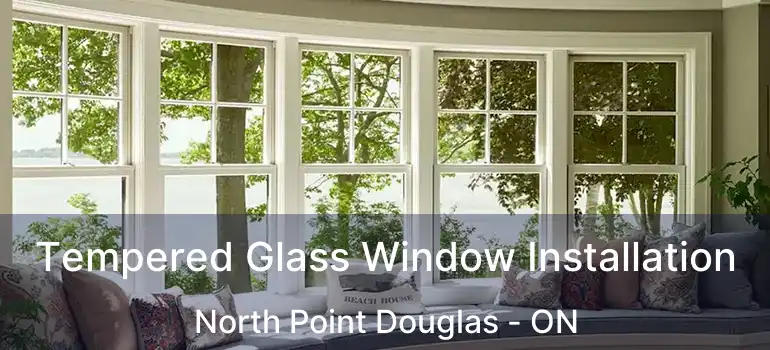  Tempered Glass Window Installation North Point Douglas - ON