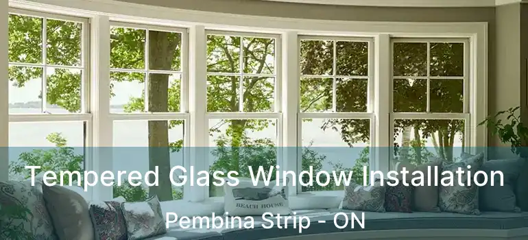  Tempered Glass Window Installation Pembina Strip - ON