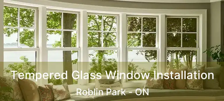  Tempered Glass Window Installation Roblin Park - ON