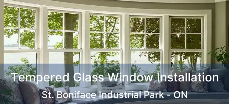  Tempered Glass Window Installation St. Boniface Industrial Park - ON