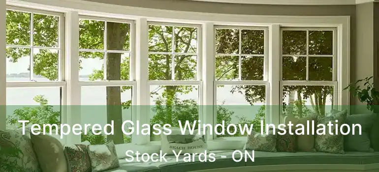  Tempered Glass Window Installation Stock Yards - ON
