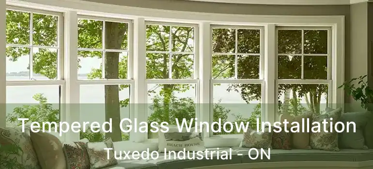  Tempered Glass Window Installation Tuxedo Industrial - ON