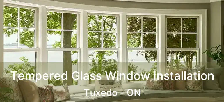  Tempered Glass Window Installation Tuxedo - ON