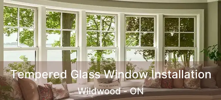  Tempered Glass Window Installation Wildwood - ON