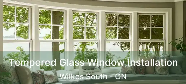  Tempered Glass Window Installation Wilkes South - ON