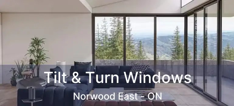 Tilt & Turn Windows Norwood East - ON