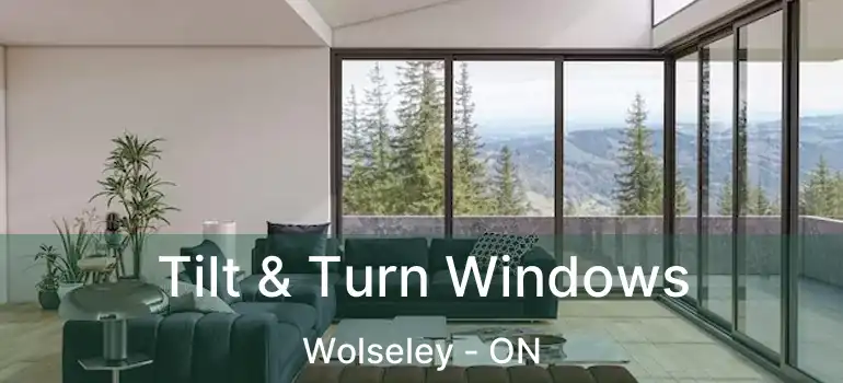  Tilt & Turn Windows Wolseley - ON
