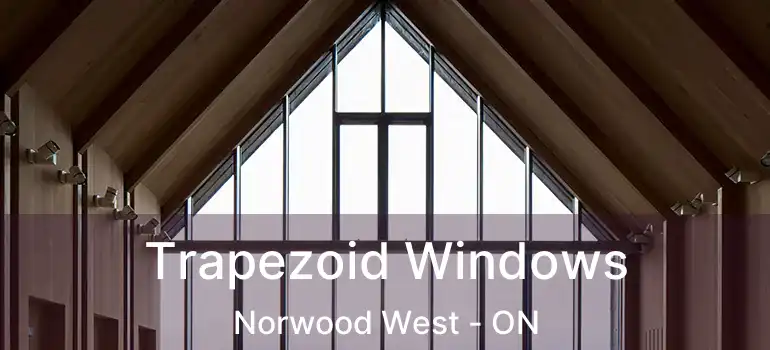  Trapezoid Windows Norwood West - ON