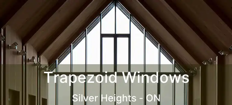  Trapezoid Windows Silver Heights - ON
