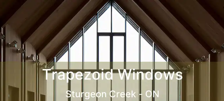  Trapezoid Windows Sturgeon Creek - ON