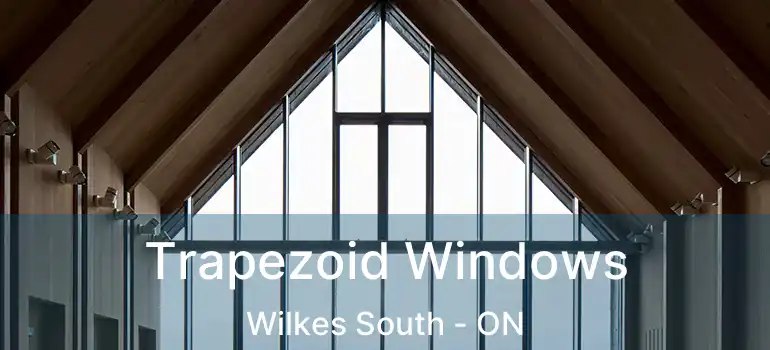  Trapezoid Windows Wilkes South - ON