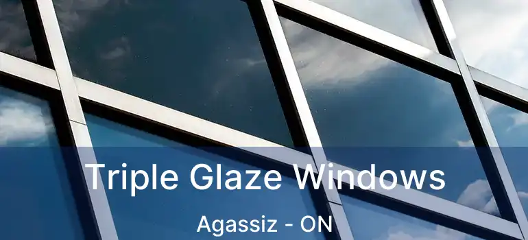  Triple Glaze Windows Agassiz - ON