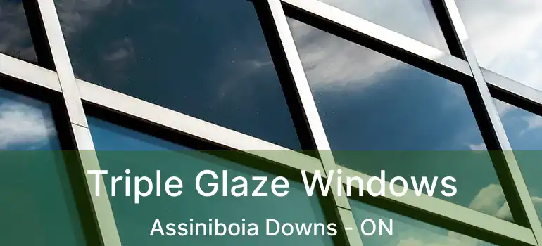  Triple Glaze Windows Assiniboia Downs - ON