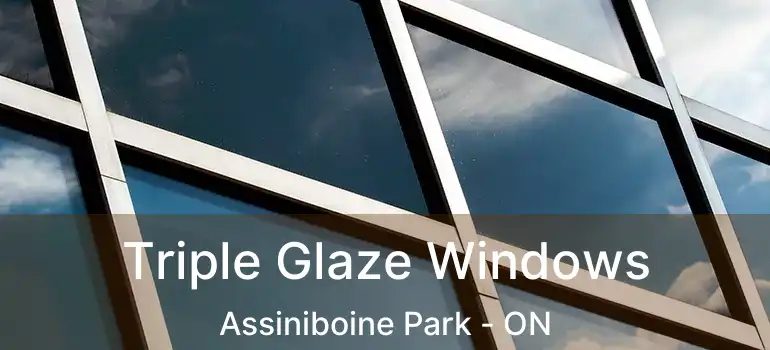  Triple Glaze Windows Assiniboine Park - ON