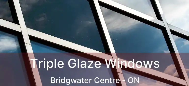  Triple Glaze Windows Bridgwater Centre - ON