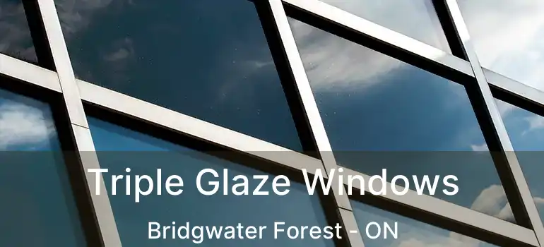  Triple Glaze Windows Bridgwater Forest - ON