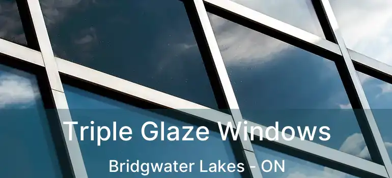  Triple Glaze Windows Bridgwater Lakes - ON