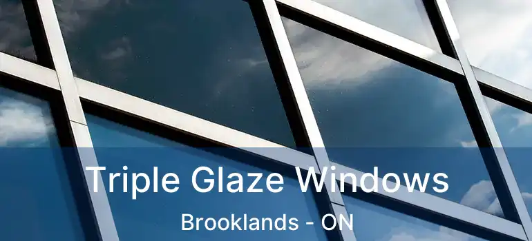  Triple Glaze Windows Brooklands - ON