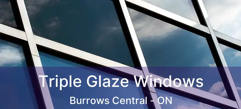  Triple Glaze Windows Burrows Central - ON