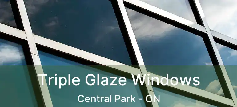  Triple Glaze Windows Central Park - ON