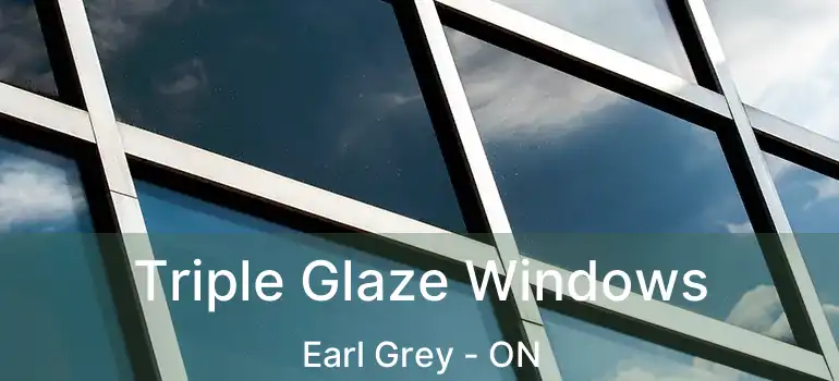  Triple Glaze Windows Earl Grey - ON