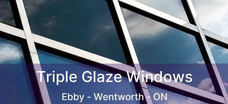  Triple Glaze Windows Ebby - Wentworth - ON