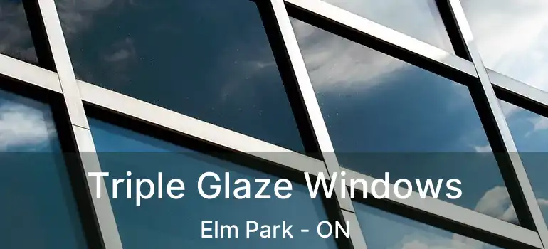  Triple Glaze Windows Elm Park - ON