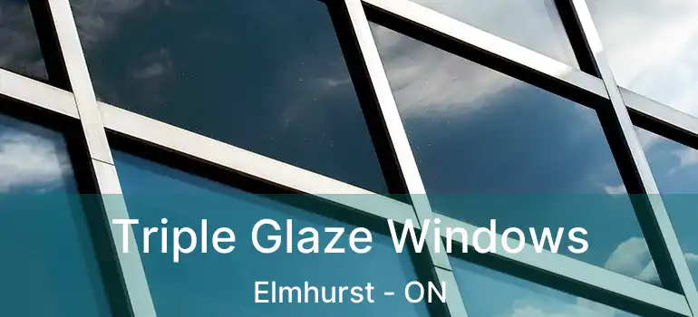  Triple Glaze Windows Elmhurst - ON