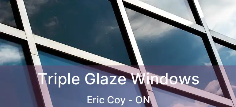  Triple Glaze Windows Eric Coy - ON