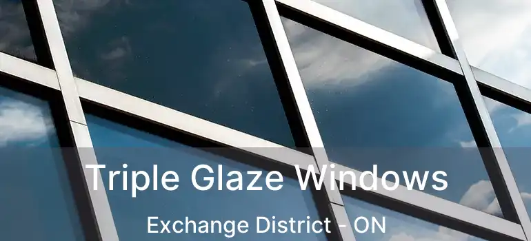  Triple Glaze Windows Exchange District - ON