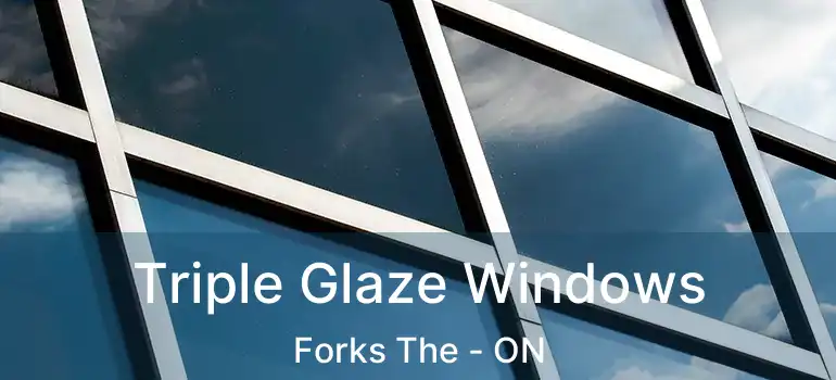  Triple Glaze Windows Forks The - ON