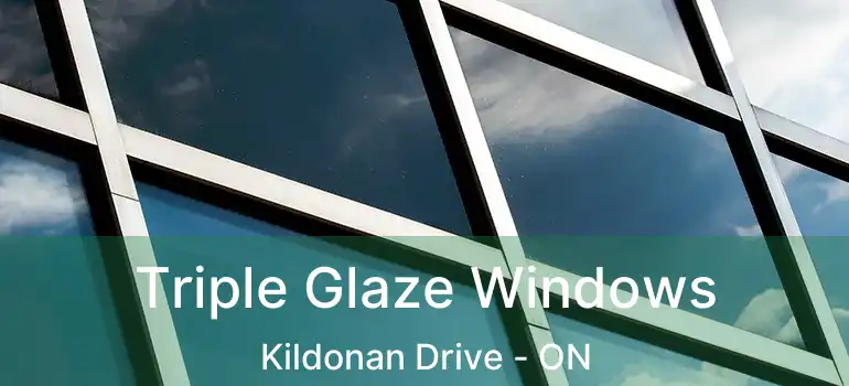  Triple Glaze Windows Kildonan Drive - ON