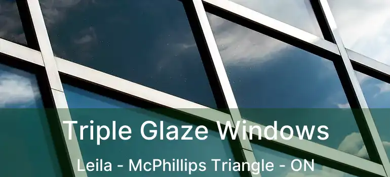  Triple Glaze Windows Leila - McPhillips Triangle - ON