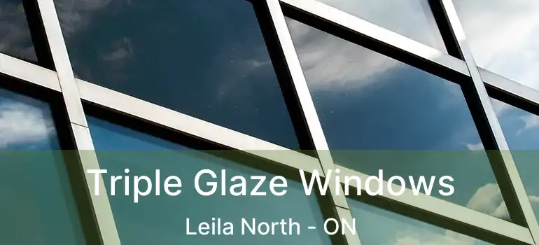  Triple Glaze Windows Leila North - ON