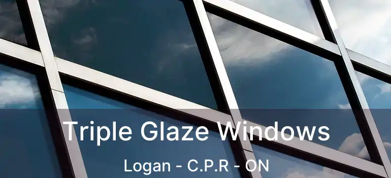  Triple Glaze Windows Logan - C.P.R - ON