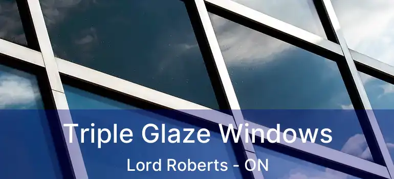  Triple Glaze Windows Lord Roberts - ON