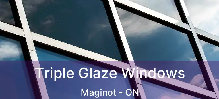  Triple Glaze Windows Maginot - ON