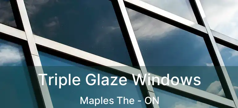  Triple Glaze Windows Maples The - ON
