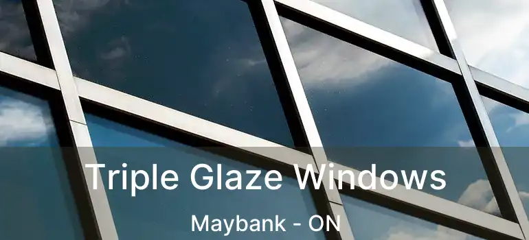  Triple Glaze Windows Maybank - ON