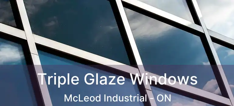 Triple Glaze Windows McLeod Industrial - ON