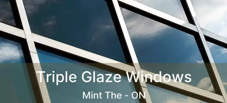  Triple Glaze Windows Mint The - ON