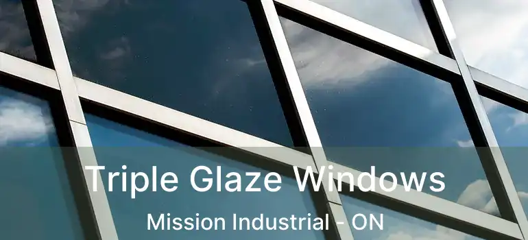  Triple Glaze Windows Mission Industrial - ON