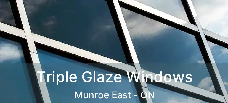  Triple Glaze Windows Munroe East - ON