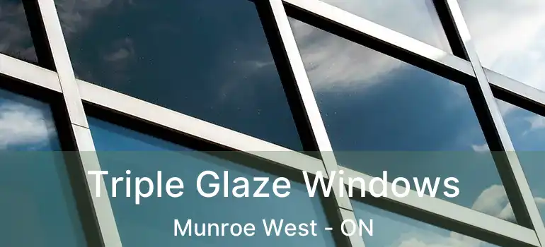  Triple Glaze Windows Munroe West - ON