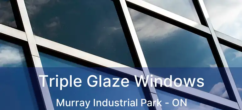  Triple Glaze Windows Murray Industrial Park - ON
